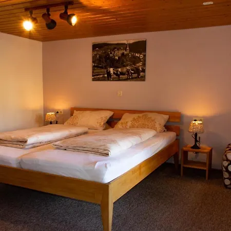 Apartment Hoeflebauer Schonach im Schwarzwald